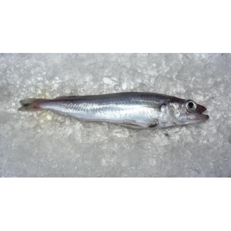 Bacaladito Lirio de Riveira, el Kg