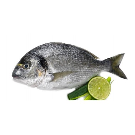 Besugo de Anzuelo Extra, Pieza de 1 a 1,5 Kgs, Entero y Limpio Especial para Horno