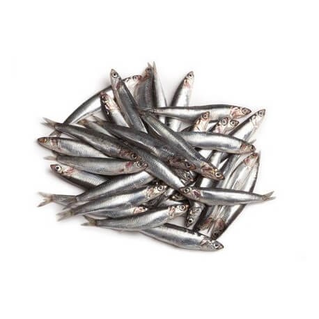 Boquerón Pequeño de Cádiz, el Kg