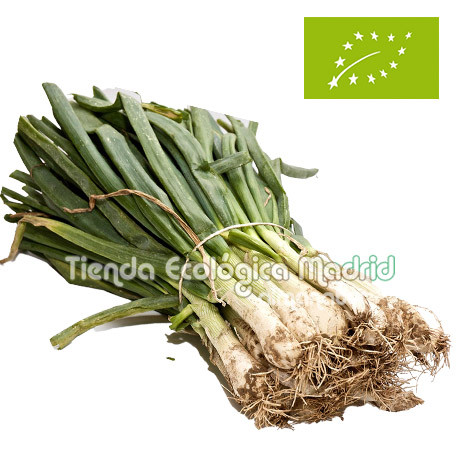 Calçots, Manojo 25 unid (Cataluña)