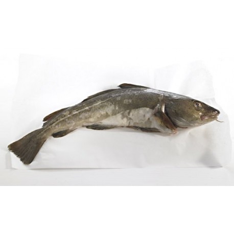 Filetes de Bacalao Fresco Nacional, el Kg