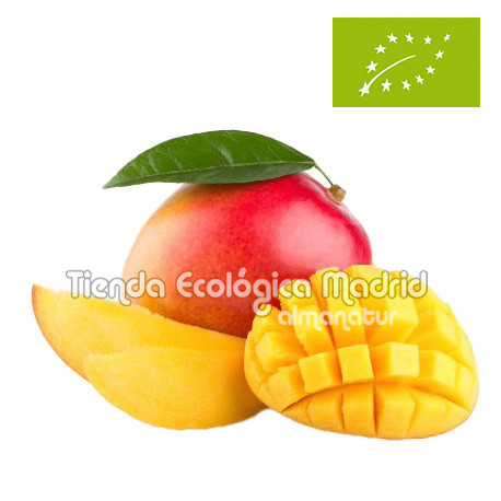 Mangos Osteen, el Kg (Brasil)