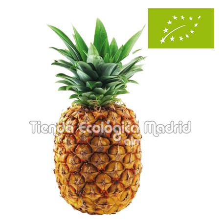 Piña Tropical, el Kg (Costa Rica)