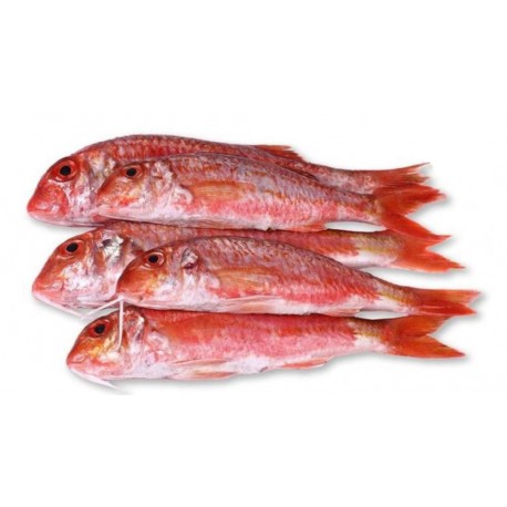 Salmonete de Roca Gordo Nacional, el Kg
