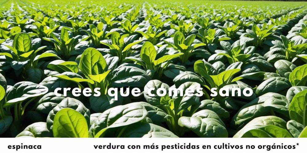 222f150f-2b51-4099-b1dc-02a7b5277a4d